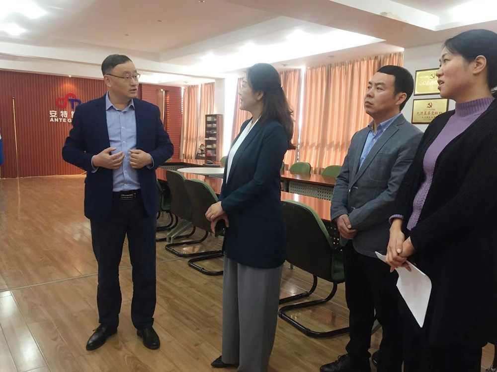 安特儀表集團有限公司