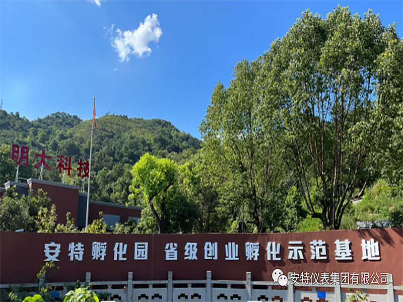 ANTE INSTRUMENT GROUP CO., LTD.