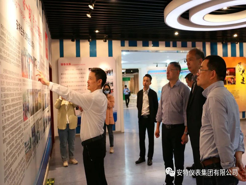 ANTE INSTRUMENT GROUP CO., LTD.