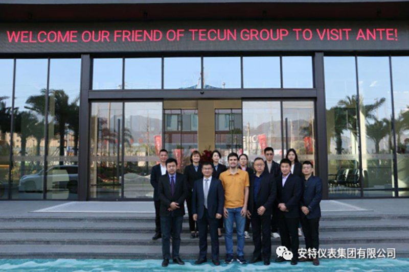ANTE INSTRUMENT GROUP CO., LTD.